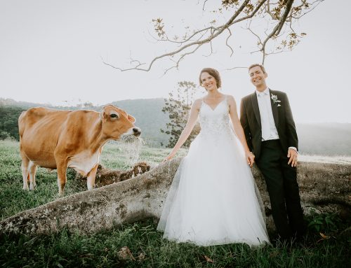 Cowbell Creek Wedding | Gold Coast Wedding Photographer | M J Carlin